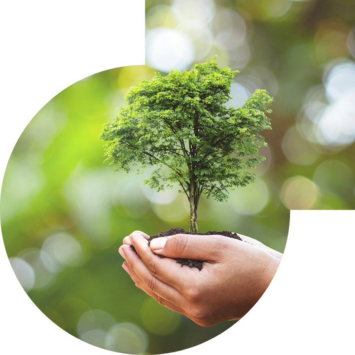 关怀人类、文化、环境与社会